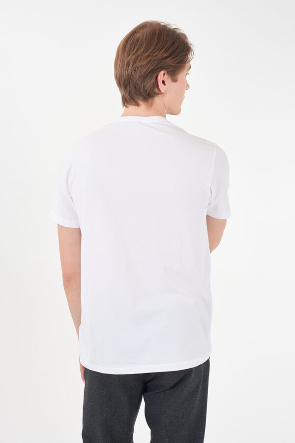 T-SHIRT UOMO GIROCOLLO, M/C - immagine 2