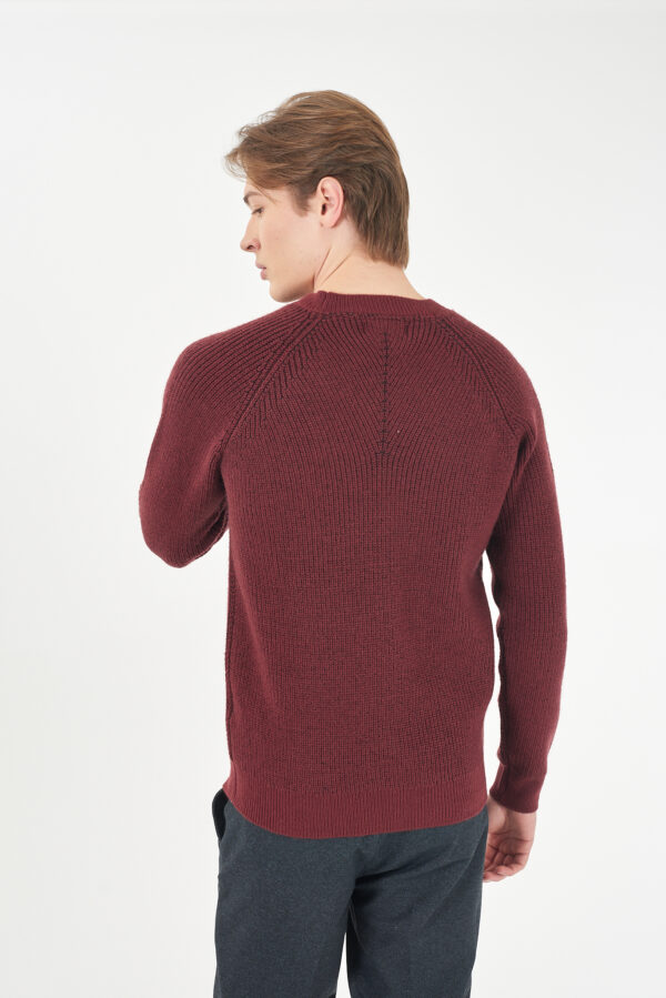 MAGLIA UOMO GIROCOLLO, VANISÉ - immagine 2